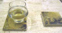 fossil stone coasters