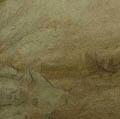 sandstone coasters