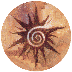sea shell sandstone coasters