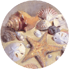 cinnabar coasters