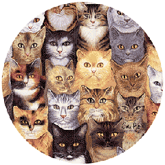 cat drink coasters